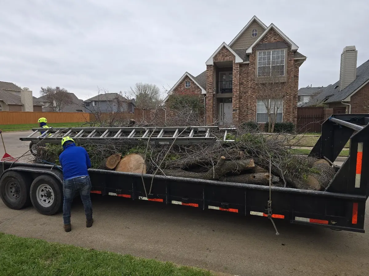 Expert Tree Fertilization with proper safety equipment in Leoma